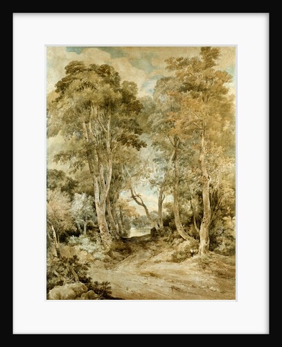 Wood Scene by John Crome