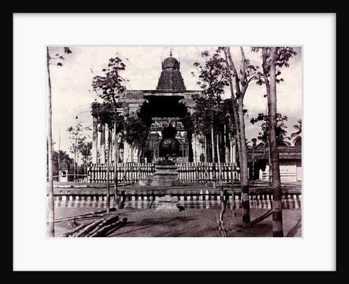 The Great Bull from the Gateway by Captain Linnaeus Tripe