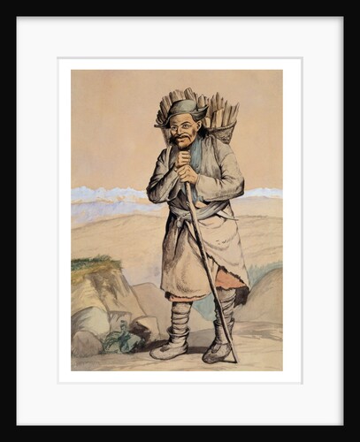 Bhotiya villager from Spituk carrying a basket of wood by R. Clint