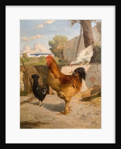 Poultry by François Bocion
