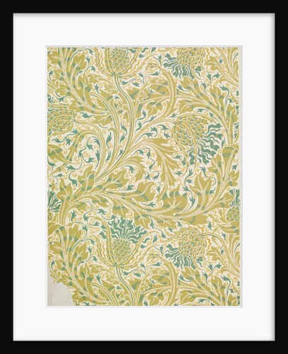 Animal study by Unknown