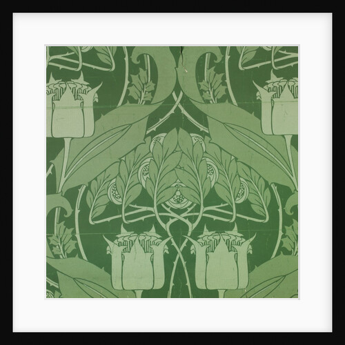 Floral pattern by Harry Napper