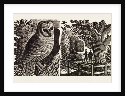 Illustration by Eric Ravilious