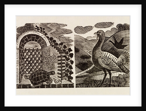Illustration by Eric Ravilious