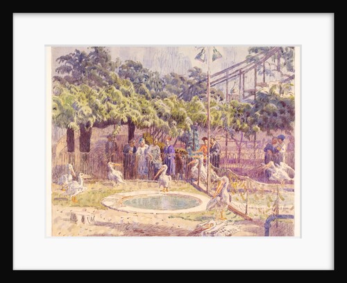 Pelican Ponds, Zoological Gardens by Walter Bayes