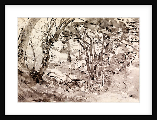 Rimmer's Pond, Ridley by Thomas Hennell