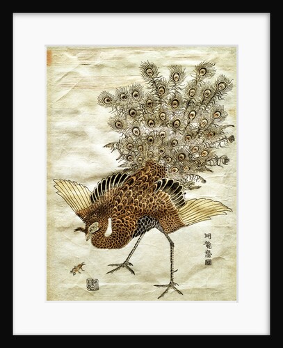 A Peacock and A Mole Cricket by Isoda Koryûsai