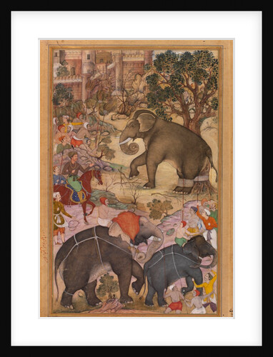 Akbar Inspecting a Wild Elephant by La'l Sanwala