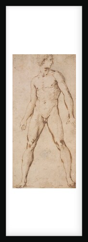 Study of the nude figure of a man by Raphael