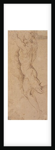 Nude figure of a man holding by Jacopo Palma
