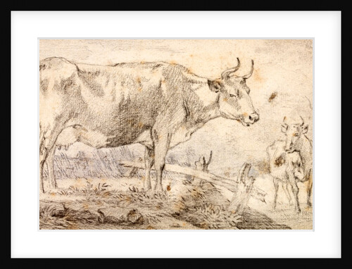 Study of two cows by Paulus Potter