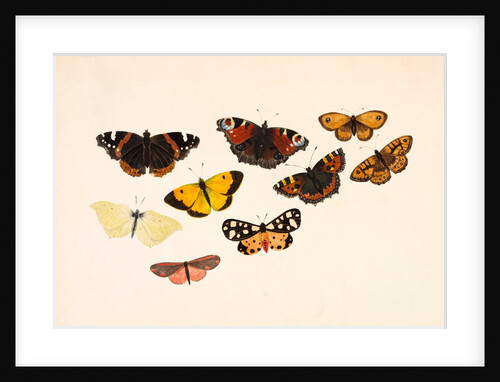 Nine Butterflies by Alexander Dyce