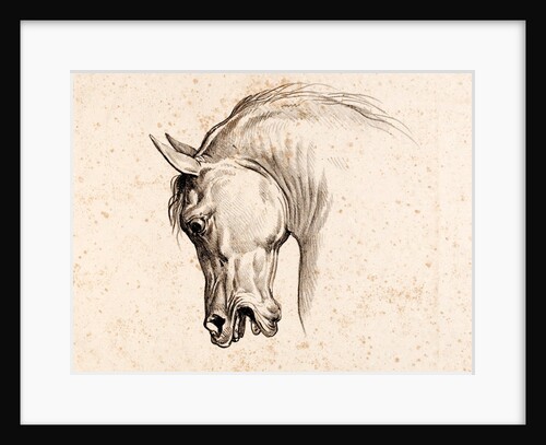 Print depicting a horse by Carle Vernet
