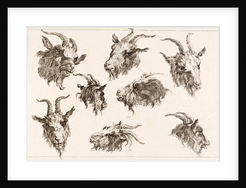 Goat from different angles by Unknown