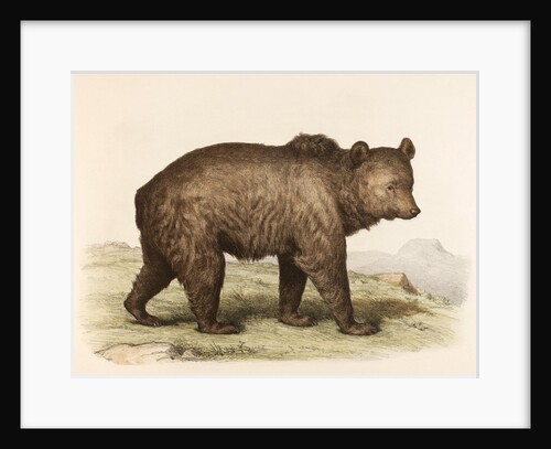 Ours by Unknown