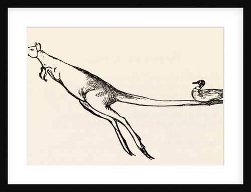A B C Lear Alphabet by Edward Lear