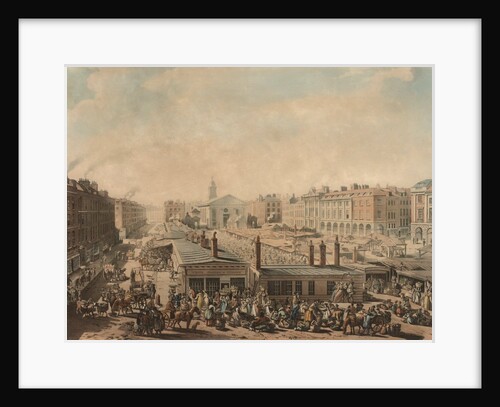 A Bird's Eye View of Covent Garden Market by J. Bluck