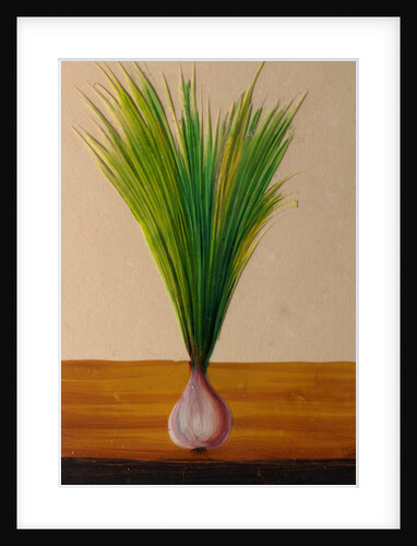 One of twelve drawings of fruits and vegetables depicting an onion by Unknown