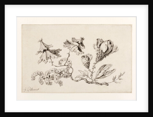 Chinese-style fantastic flowers by Jean Pillement