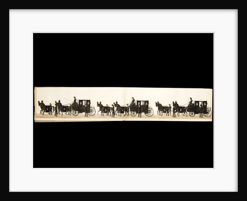 The Funeral Procession of the Duke of Wellington by Samuel Henry Alken