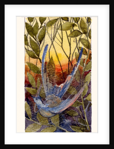 Blue Humming Bird by Anonymous