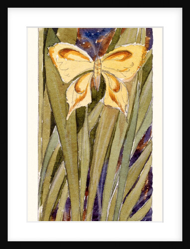 Yellow Butterfly by Anonymous