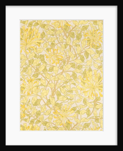 Honeysuckle wallpaper by Mary Morris