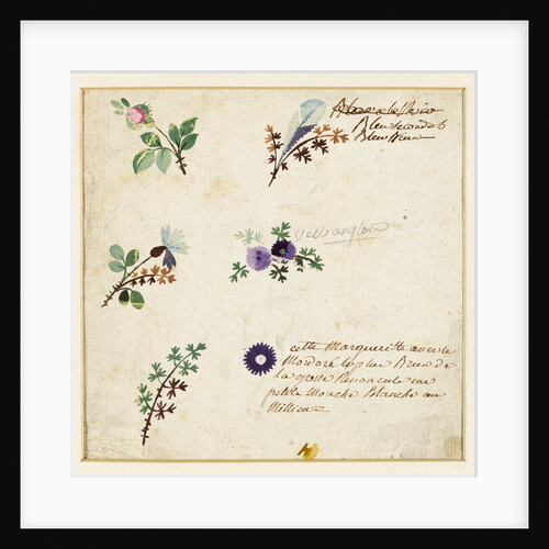 Design for embroidery on men's waistcoats by Jean Pillement