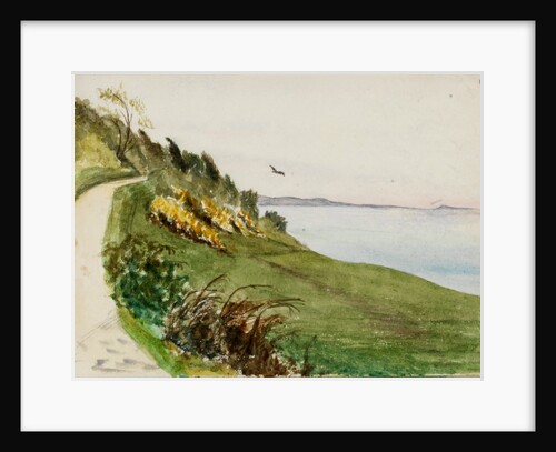 Coastal path with lone bird in flight by May Morris