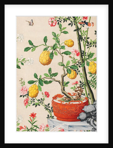 Wallpaper with yellow fruits in orange-coloured pot by unknown