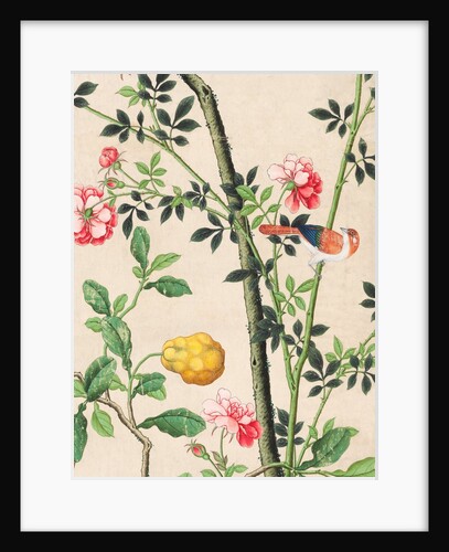 Wallpaper with small bird on branch beside a large yellow fruit by unknown