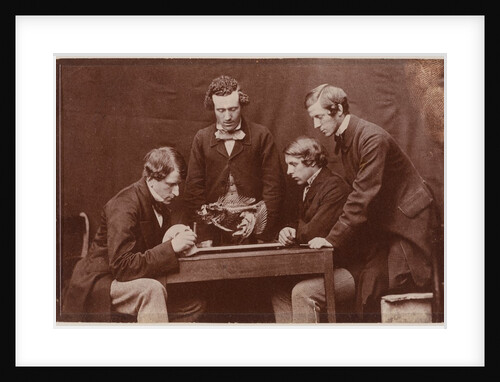 The Anatomy Lesson with Dr by Charles Lutwidge Dodgson