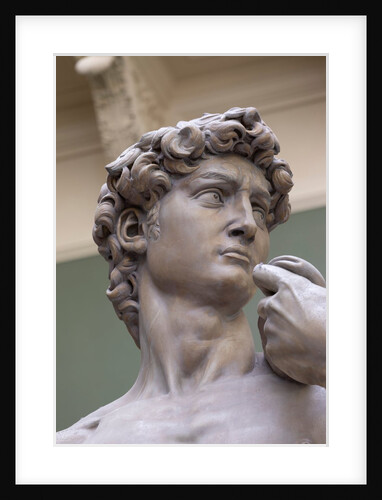 The Weston Cast Court (Gallery 46B) by Anonymous