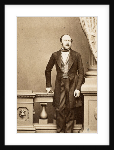 Prince Albert by John Jabez Edwin Mayall