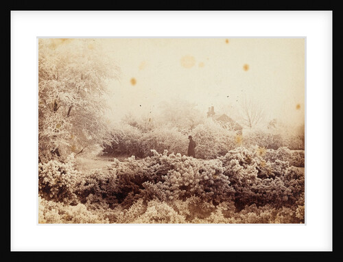 Hoare-frost at Wimbledon by Paul Martin