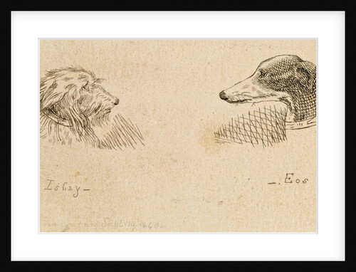 Islay and Eos, Victoria and Albert's pet dogs by Queen Victoria