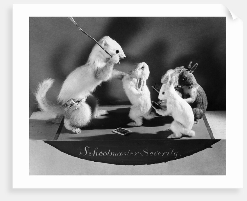 Schoolmaster Severity, stuffed animals showing typical Victorian classroom scenes by Anonymous