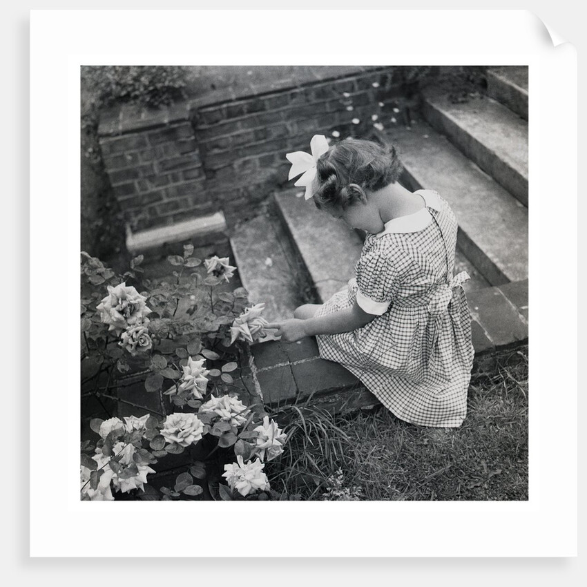 Princess Alexandra by Cecil Beaton