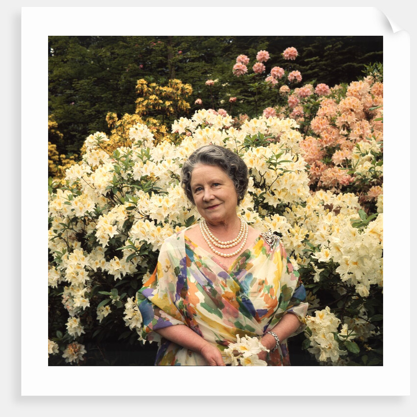 Queen Elizabeth, The Queen Mother in the gardens at Windsor Great Park by Cecil Beaton