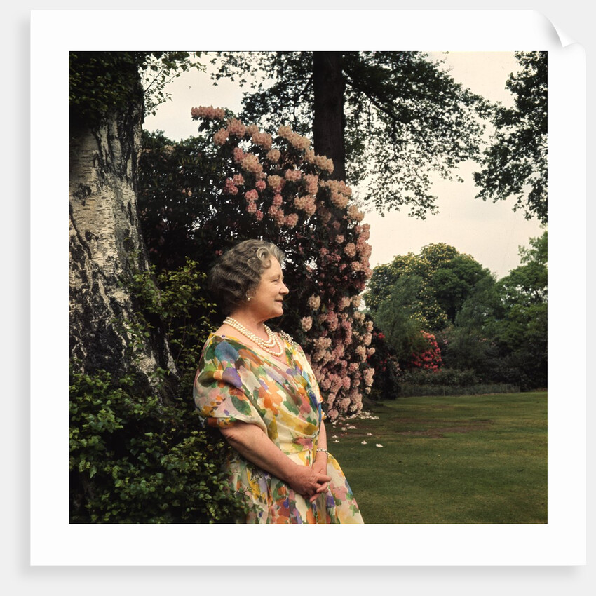 Queen Elizabeth, The Queen Mother in the gardens at Windsor Great Park by Cecil Beaton