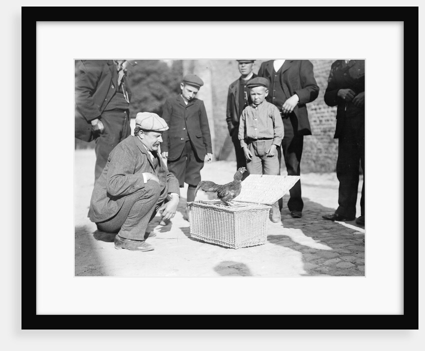 Ready for the Fight by Andrew Pitcairn-Knowles