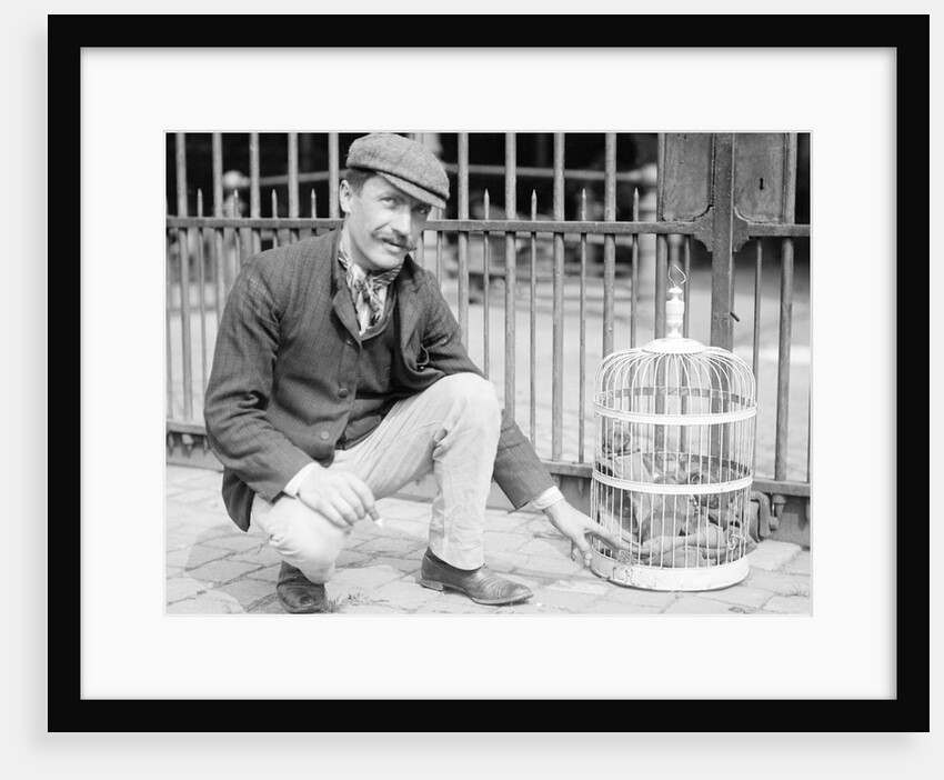Dog Market - Dog in Bird Cage by Andrew Pitcairn-Knowles