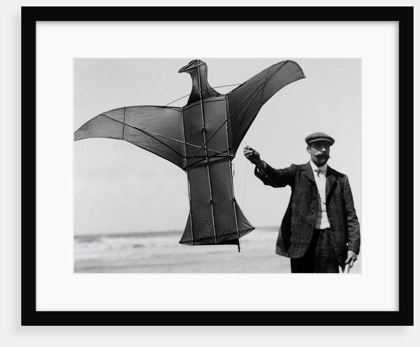 Man sized kite bird by Andrew Pitcairn-Knowles