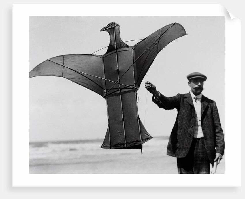 Man sized kite bird by Andrew Pitcairn-Knowles