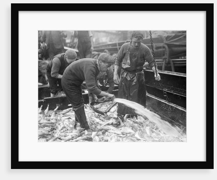 Hosing fish by Andrew Pitcairn-Knowles