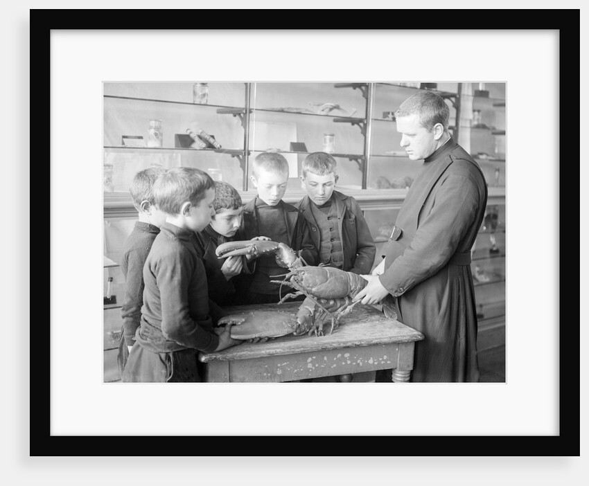 Monk Shows How to Handle a Lobster by Andrew Pitcairn-Knowles