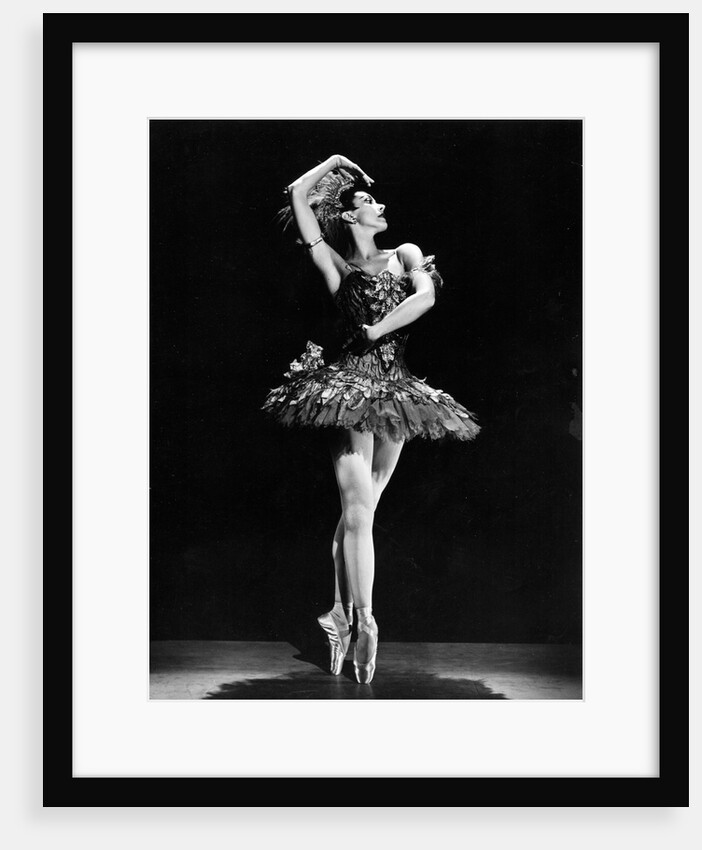Margot Fonteyn in The Firebird at the Empire Theatre by Houston Rogers