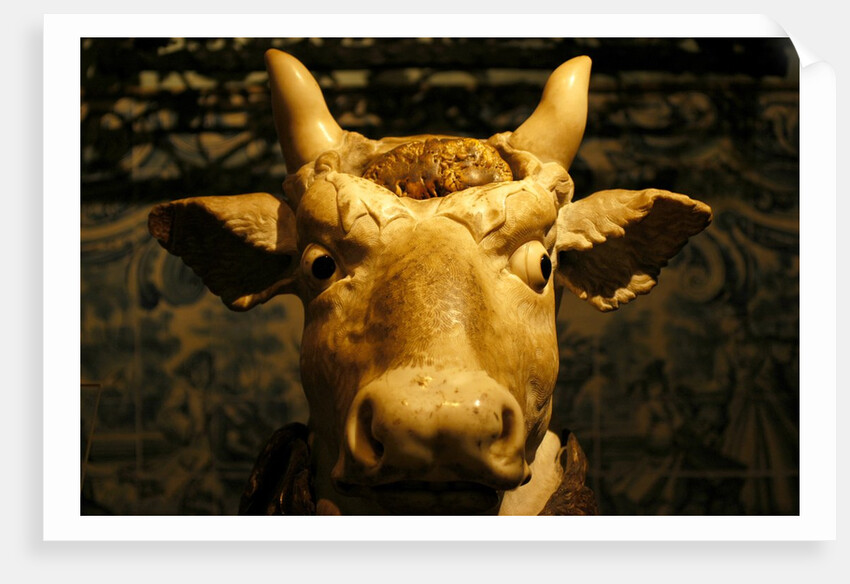 Head of an Ox by Stuart Cox