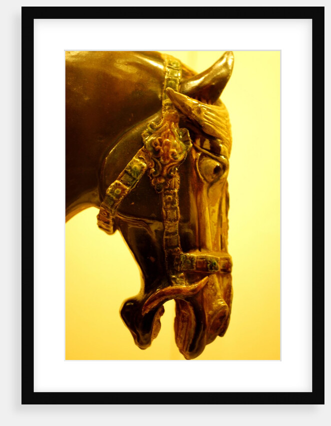 Horse by Stuart Cox