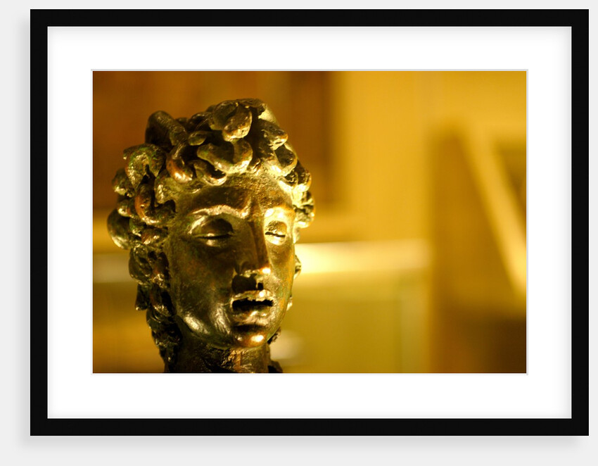 Medusa's Head by Stuart Cox